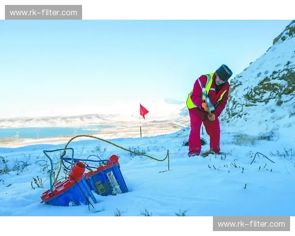 拳击新闻：战斗与胜利的脉动
